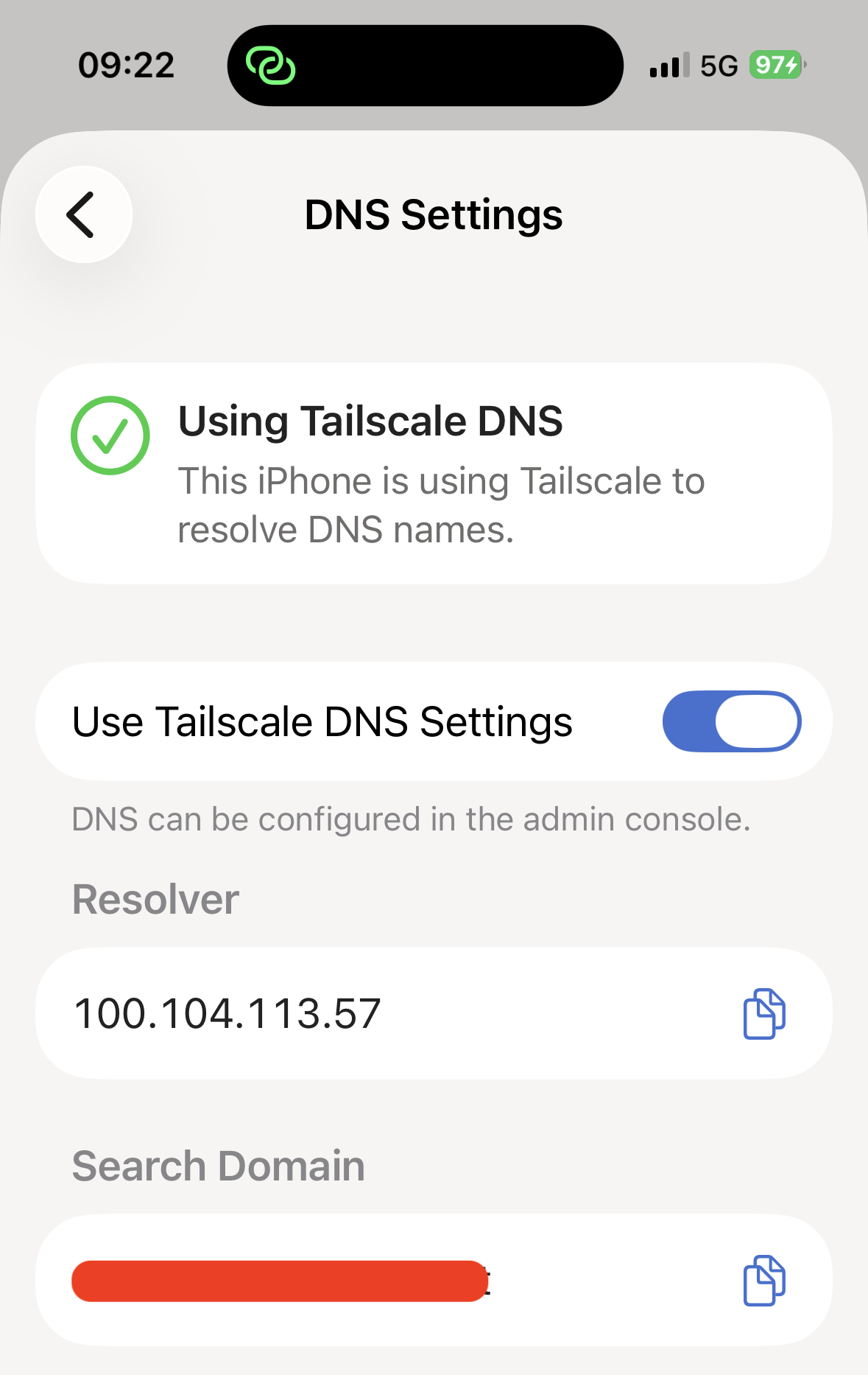 DNS settings screen on the client iPhone
