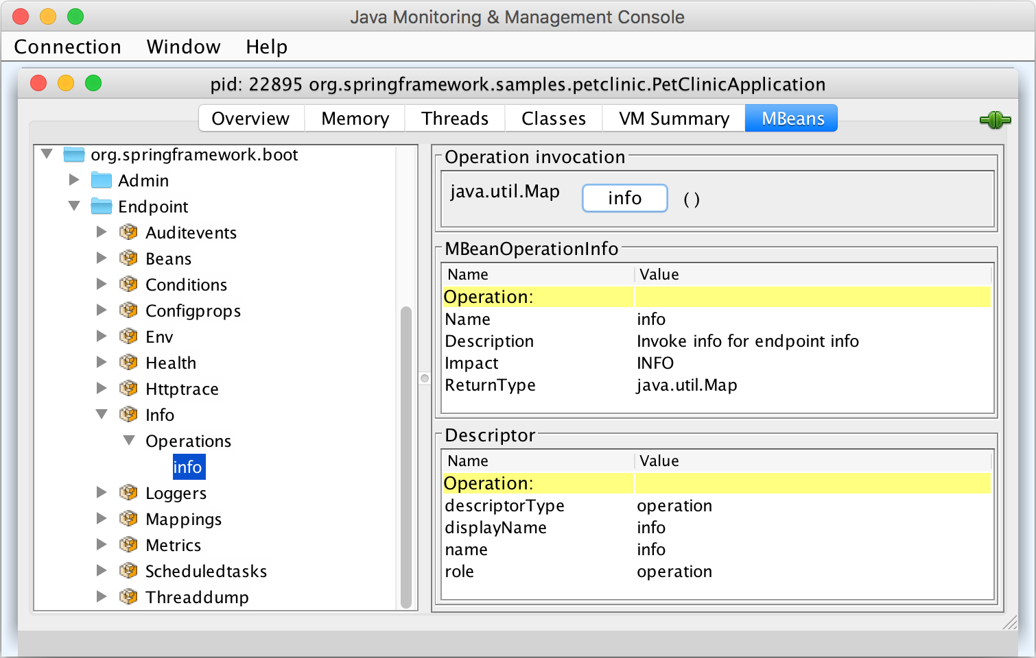 JConsole showing the info endpoint