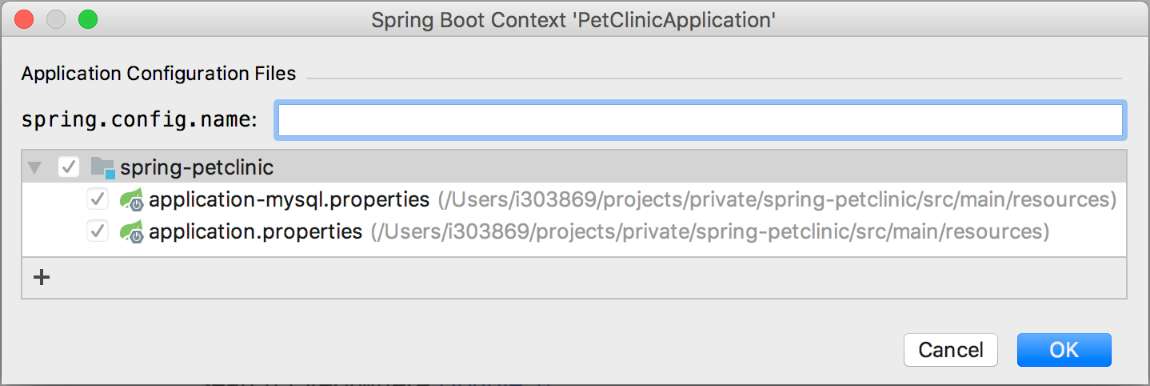 Application configuration files setter