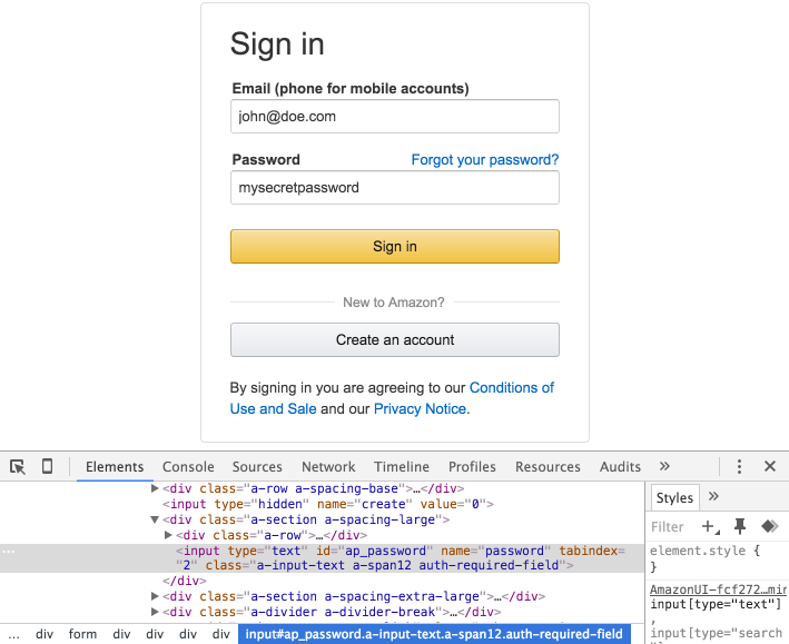 Source view of the password input